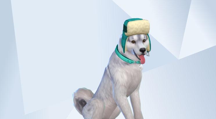 fay sito ufficiale prezzi