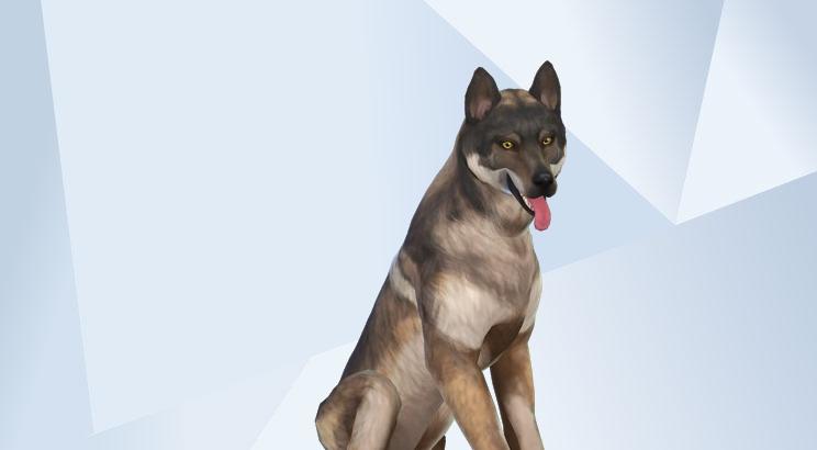sims 4 wolf mod sims 4 wolf mod