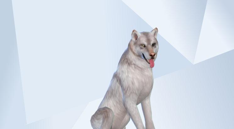 sims 4 wolf mod sims 4 wolf mod