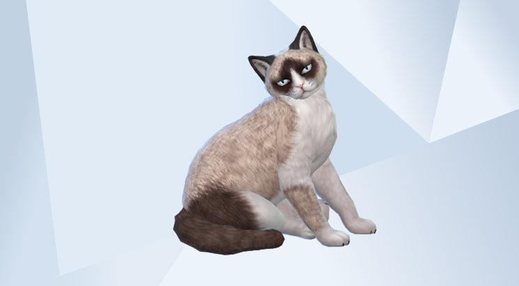 Die Sims Die Galerie Offizielle Website