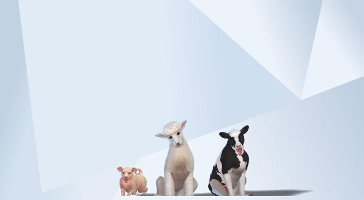 pet farm sims freeplay pet farm sims freeplay