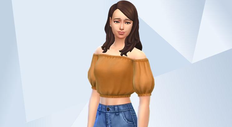 F13 Modernized 画像 4
