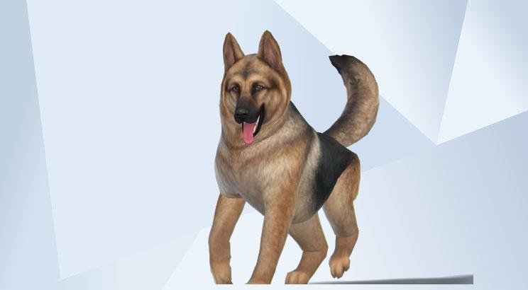 Realistic dog by AlyaJD
