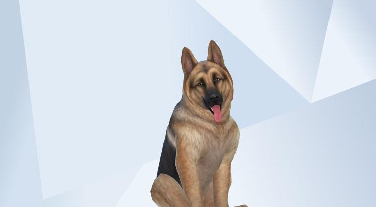 Realistic dog image 2