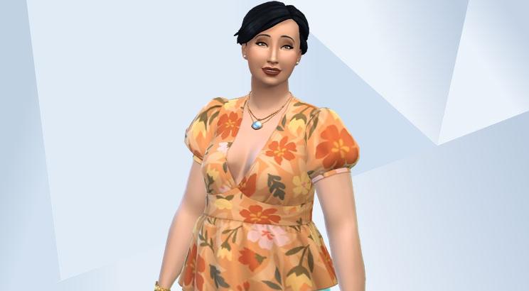Everyday Sims 2 image 4