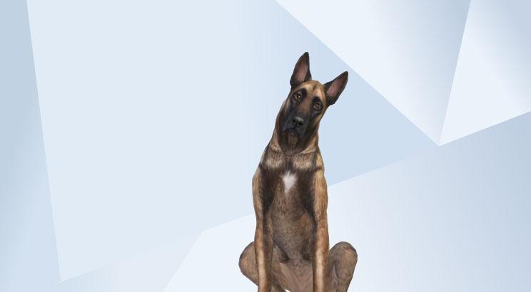 realistic dog 圖片 2

