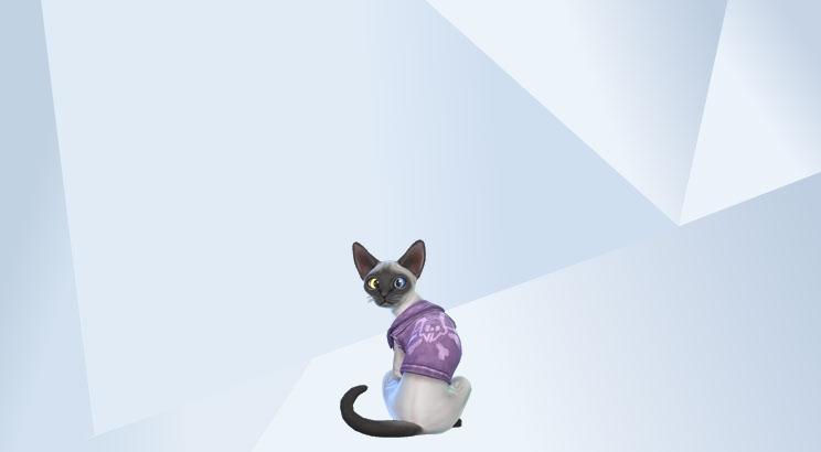 Heavy Metal Dad & Family image 2