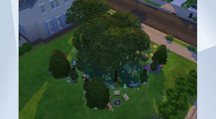 Tiny Tree House 画像 3
