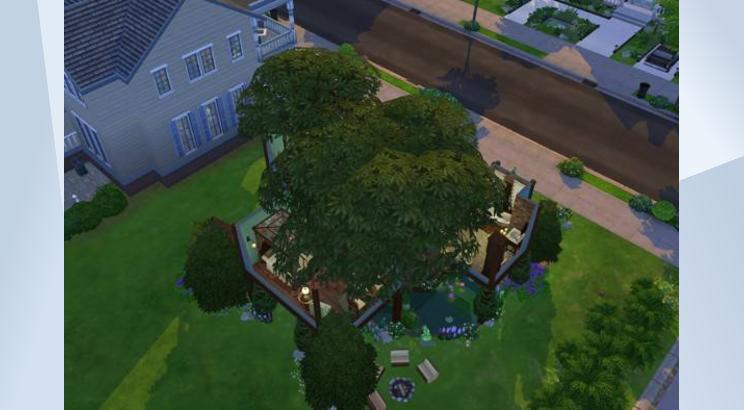 Tiny Tree House 画像 4
