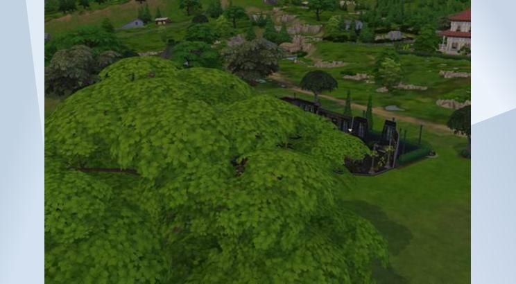 Immagine 3 di Widow's Manor
