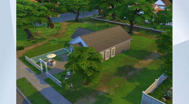 First House - Family image 2