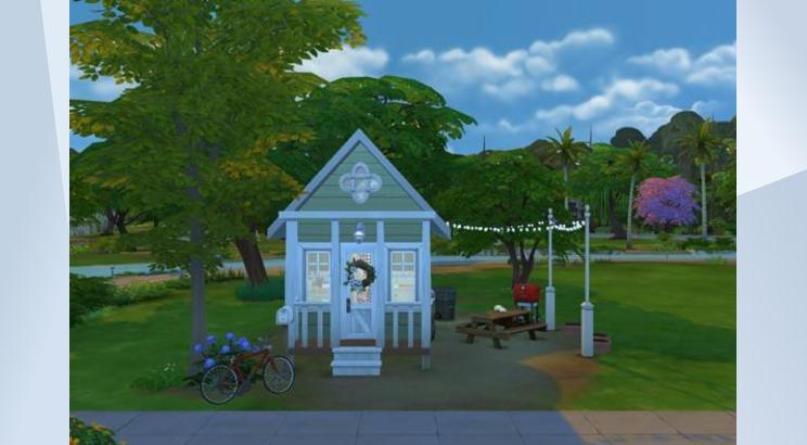 Tiny Home on Wheels by None