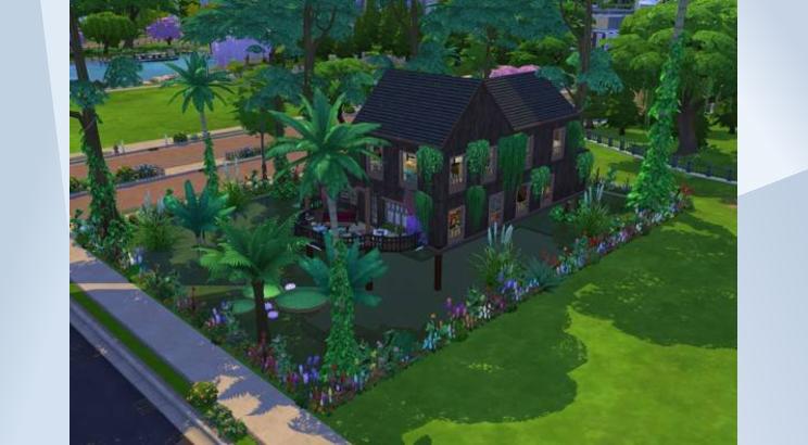 Image 2 de La Casa en los Arboles
