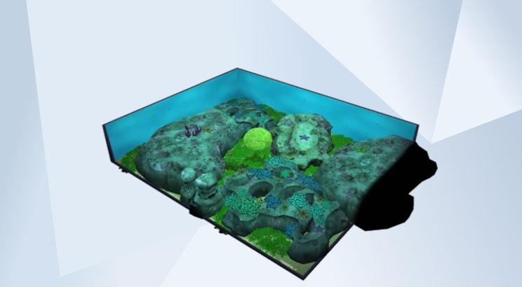 Image 3 de L'aquarium
