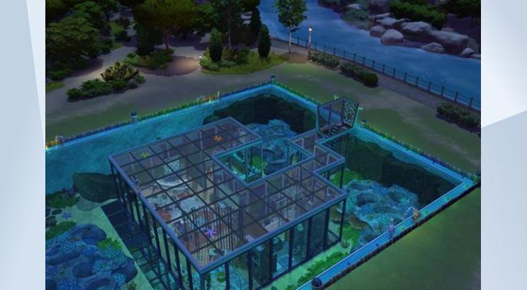 Image 6 de L'aquarium
