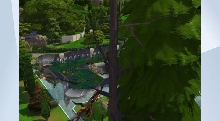 Image 4 de Moma de Winderburg
