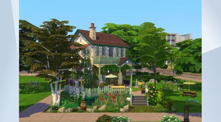 2020 Rue des Sims by chipie-cyrano