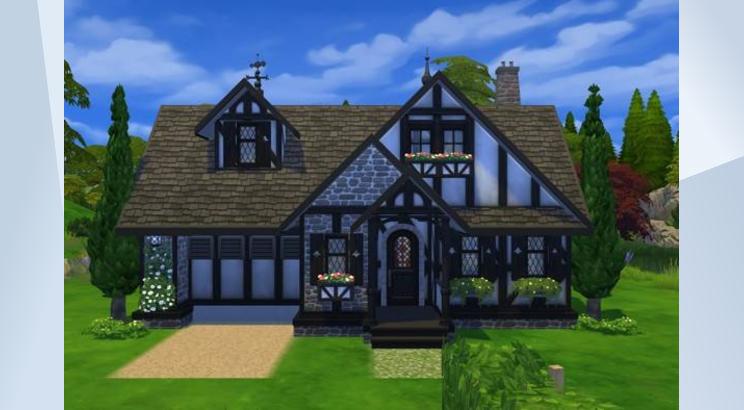 Windenburg Starter No. 3 by smubuhcakes