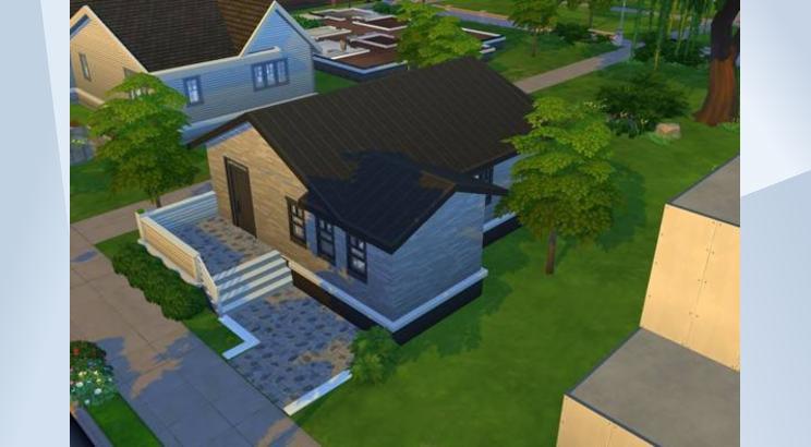 Modern Starter image 2