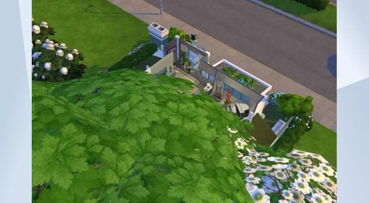 ***GREEN BASE HOUSE*** image 4
