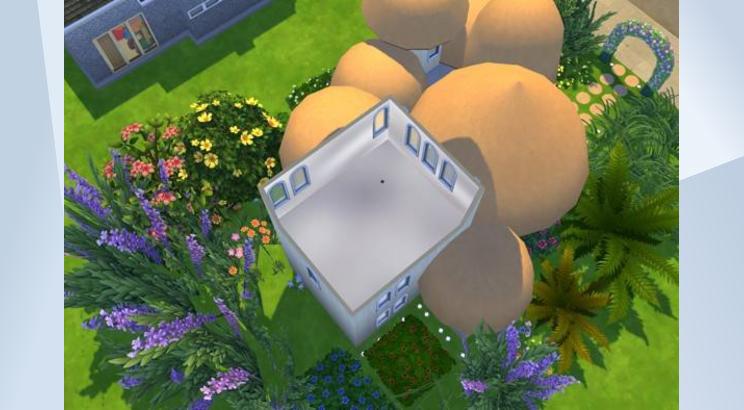 Mushroom House Day View 画像 6
