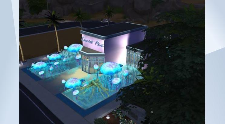 THE MAGIC MUSHROOM BAR 画像 2
