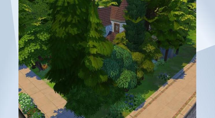 Tiny Witchy Cottage 画像 2
