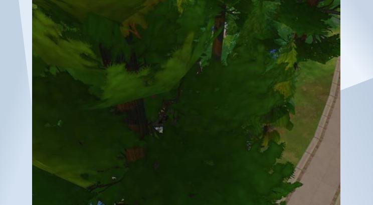 Alone in the wood 画像 3
