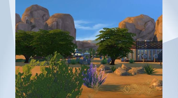 Desert Bloom by None
