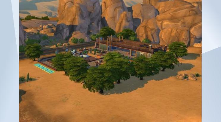 Desert Bloom image 2
