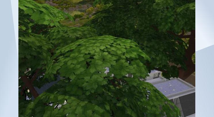 Castle High School – Bild 8
