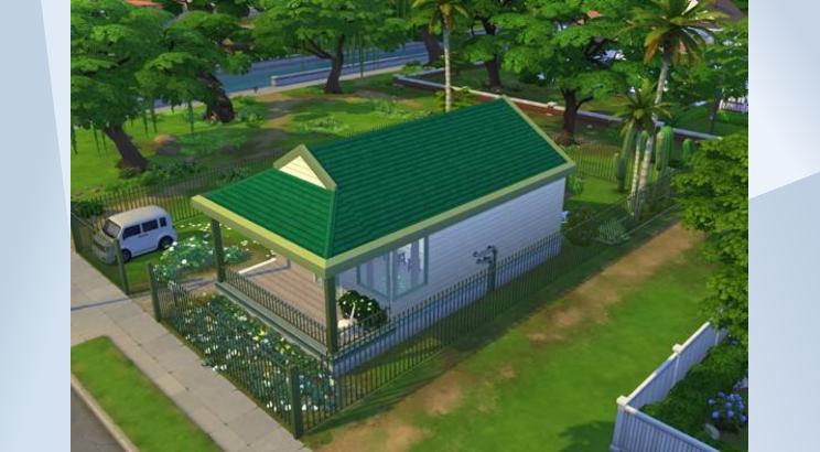 Best Budget Daisy Hovel image 2