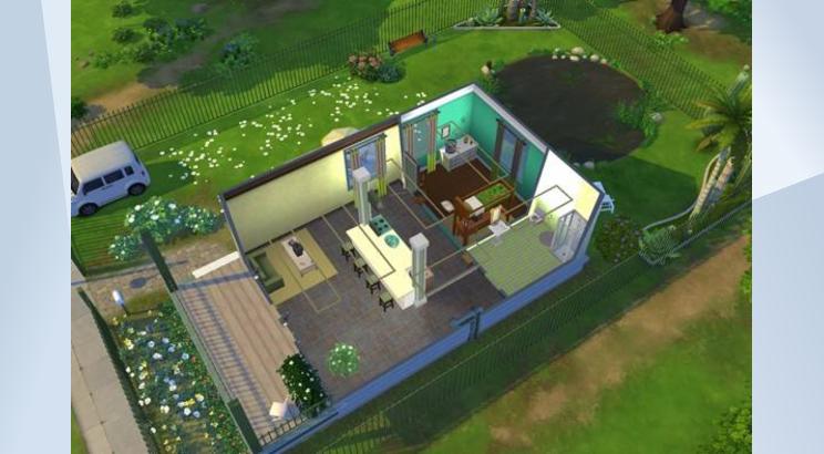 Best Budget Daisy Hovel image 3
