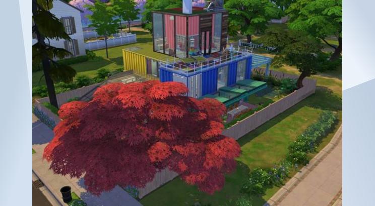 Image 2 de Container House
