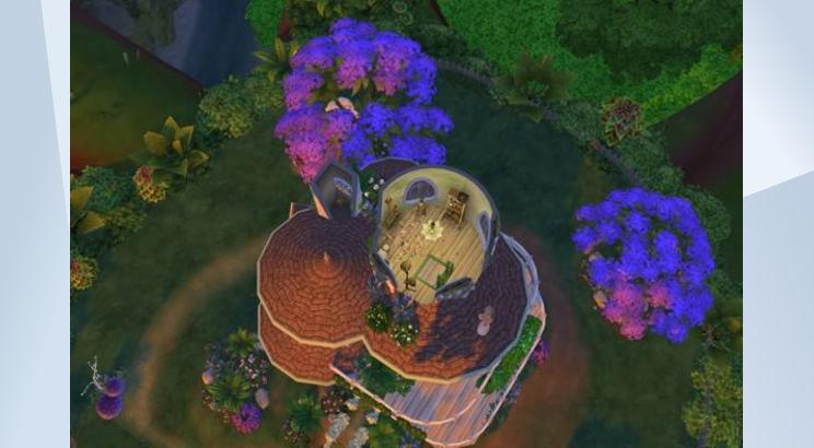 Fairy Tree House image 6