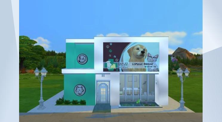 Centro Medico Veterinário by 116449MMendes