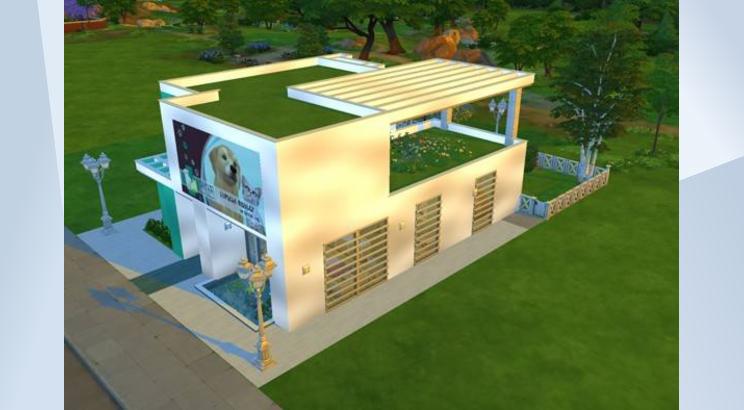 Imagem 2 de Centro Medico Veterinário
