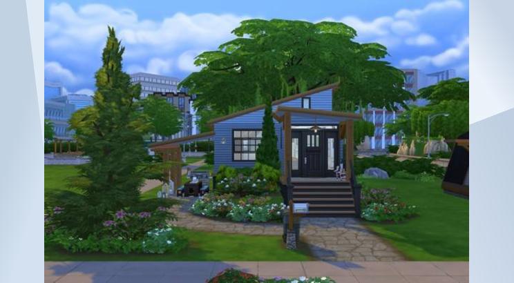 Blue Rustic Tiny Home by goldplumbob