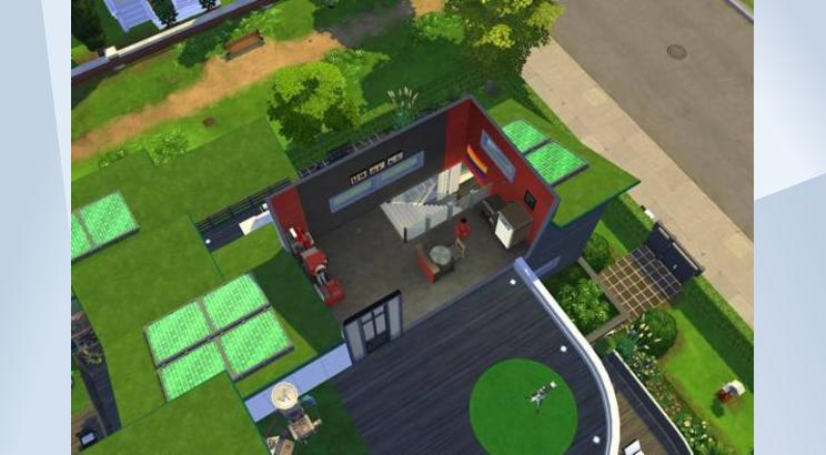 Family Ecolifestyle image 5
