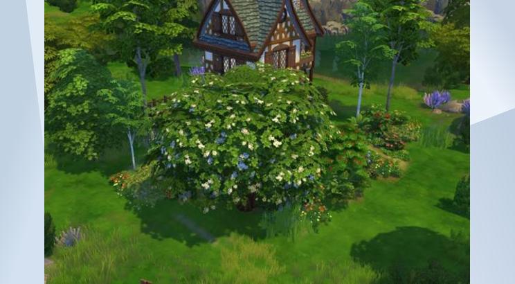 Tiny Home Floral Cottage image 2